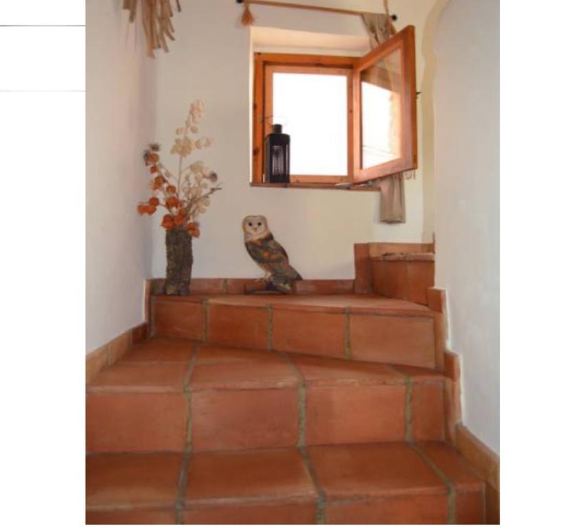 La Casa Del Teix Guest House Eslida Bilik gambar